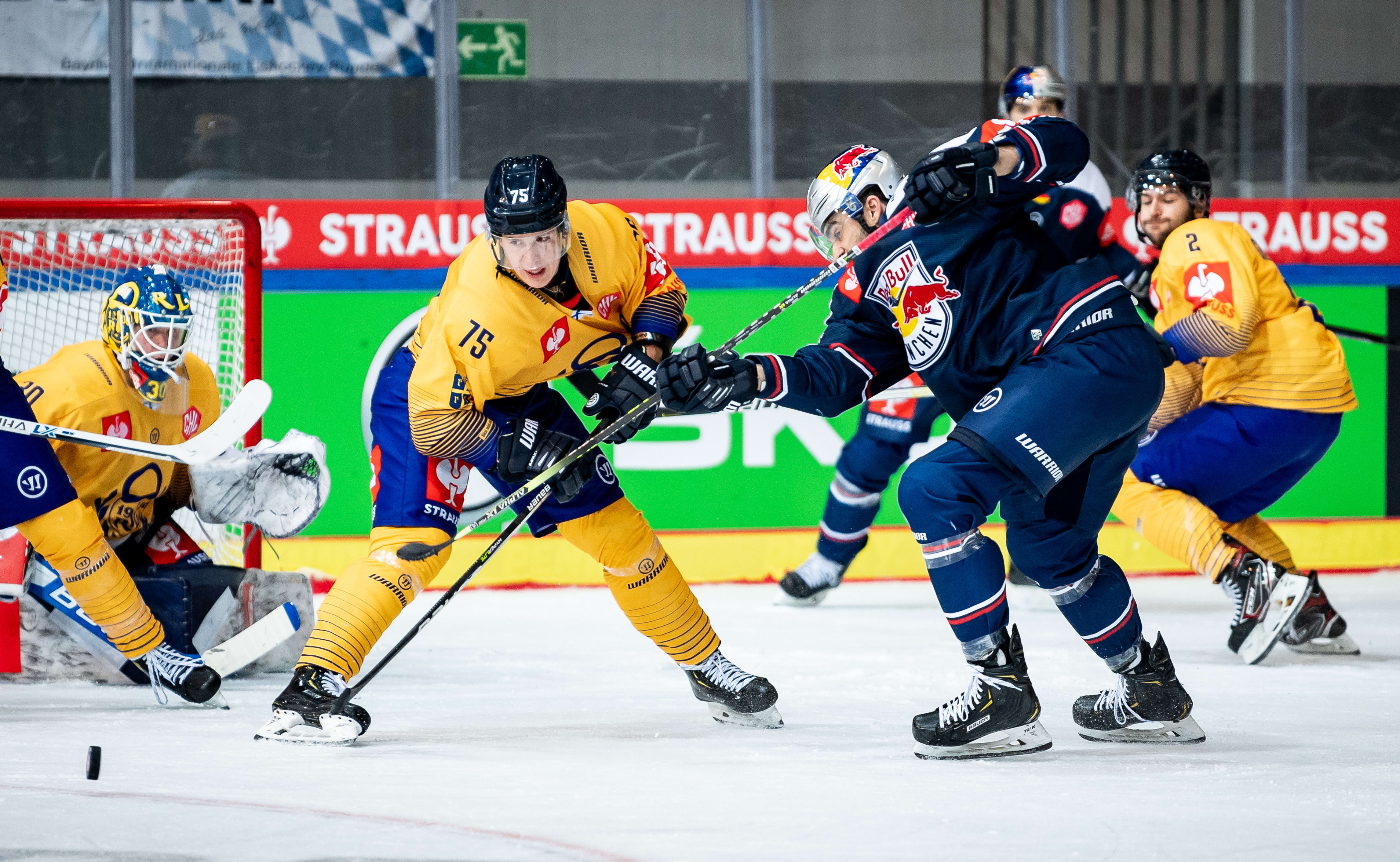 Portrait of Red Bull Münchens CHL opponent Lukko Rauma