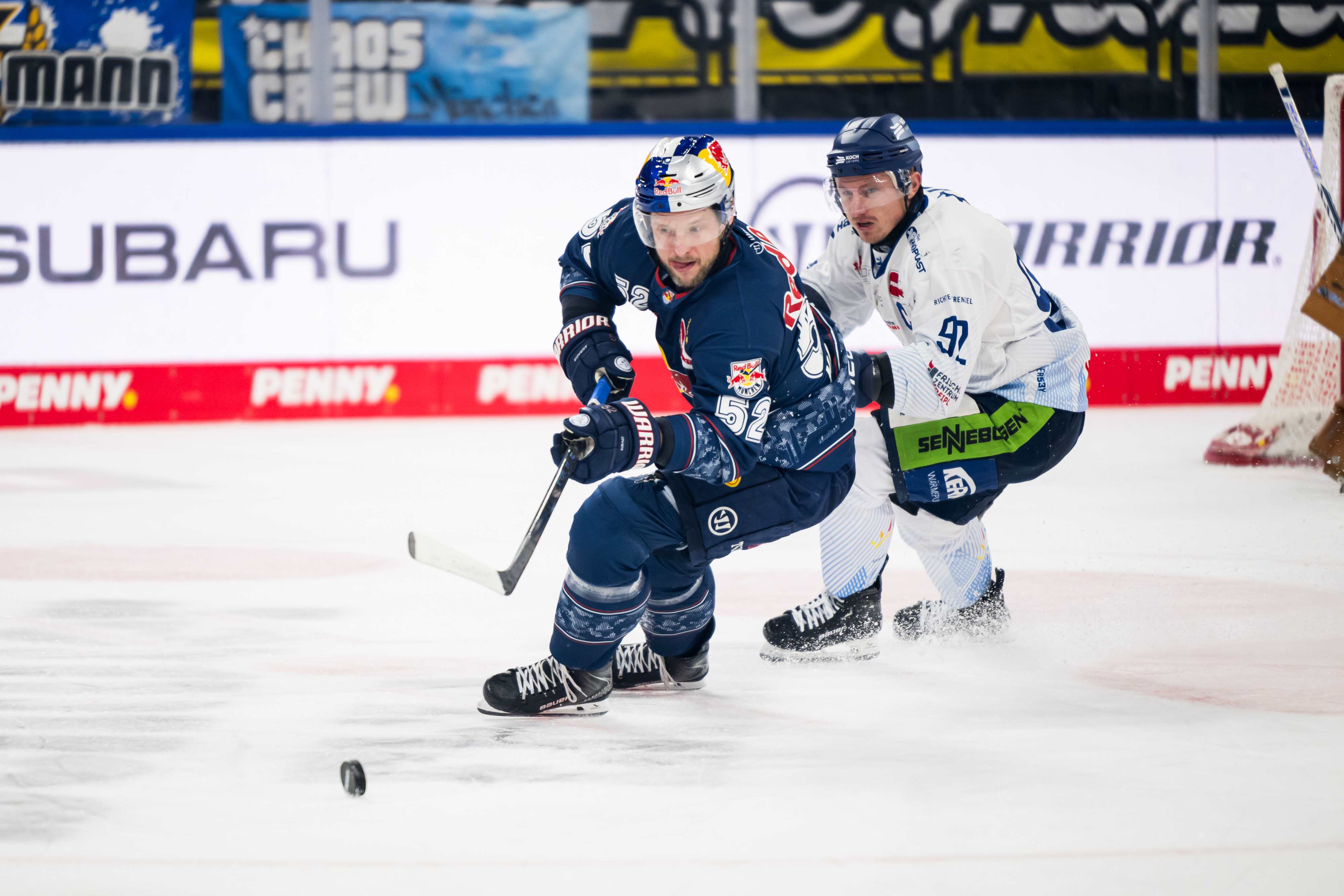 DEL, Matchday 22: EHC Red Bull Munich defeats the Straubing Tigers